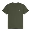 BBB 48458 verde.jpg